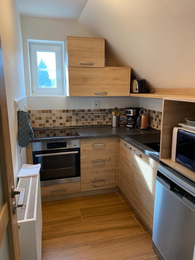 Apartman 430 Destne v Orlickych horach Exterior foto
